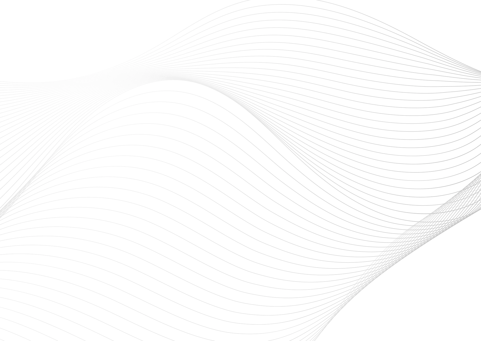 Web Site Tasarımcısı, Güneysu