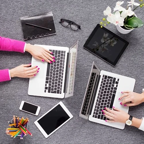 Güneysu Web Tasarımcı